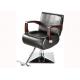 Luxury All Purpose Salon Chair Wooden Handret With Shining Steel Materials