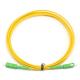 2.0mm 3.0mm Simplex Optic Fiber Patch Cord SC APC to SC APC SM