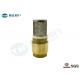 PN10 Brass Non Return Check Valve BSP Thread Ends Type With Stainless Strainer