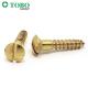 Iso1483 Din7973 Stainless Steel Brass Slotted Oval Head Self Tapping Screw