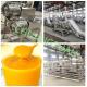Electric Mango Pulp Processing Line 150-180Kw Power 10-20 Tons/Hour Capacity
