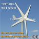TGWT-300S 300W 12V/24V wind turbine Three phase permanent magnet AC synchronous generator