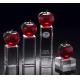 educators merit crystal apple award/crystal red apple on rectangle base award