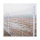 Outdoor Galvanized Steel Tubular Steel Fence White Metal Wire Mesh Fence