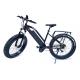 High Speed  48v 1000w Bafangcentral motor  Mountain Electric Fat Bike with front  suspension fork and LCD color display