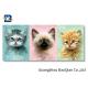 Home / Hotel Wall Photo 3D Effect Printing Lovely Cat / Dog Stereograph