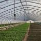 Convenient Return Refunds for Our Innovative Drip Irrigation Tunnel Greenhouse Kit