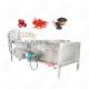 Approved Vegetable Washing Machine Manufacturer Ce Certificate