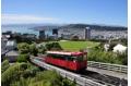 Wellington draws Australian tourists