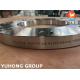 JIS B2220 SS316L 10K Stainless Steel Forged SOP-FF Plate Flanges