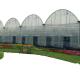 30 x 100 Vegetable Growing Film Covered Multi-span Arch Greenhouse with PO Cover