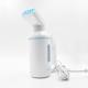 Double Security Clothes Garment Steamer High Temperature Resistant Material CS03