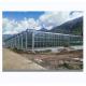 8m 9.6m 12m Span Width Multispan Greenhouse With Hydroponic System And Glass Structure
