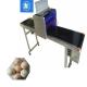 Date Code Egg Marking Equipment With 90 -120 Eggs / Min Printing Speed