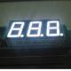 14.2mm(0.56) White 3 Digit 7 Segment LED Display  for digital Temperature /Humidity indicators