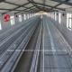 20000 Birds Chicken Farming Cage System Used In Birds Laying Mia