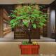 Light Weight Washable Artificial Green Maple Leaves For Pub Decoration