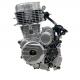 Cold Style Air-cooled DAYANG YF 200cc Tricycle Engine Assembly 4 Stroke Electric/Kick