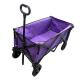 Outdoor Garden Folding Wagon Cart Spray Painting Process Steel Collapsible