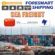 SGS Sea Freight FCL China To South Africa Shipping