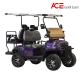 Mini Golf Car Road Legal Buggy 4 Seats Electric Powered Vehicle