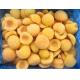 IQF Apricot Halves, pitted, unpeeled, diameter 3 - 6 cm, uncalibrated