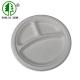 Tropical Biodegradable Compostable Dinnerware Wedding Parties Plate Disposable Trays For Food