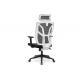 DIOUS Mesh Back Office Chair