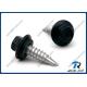 410 Stainless Painted Hex Flange Head Self Drilling Screw with Neoprene Washer