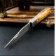 Stainless Steel Damascus Sharp Kitchen Knives Set 2mm Thick HRC 52 Professional