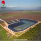Customized 1.0mm HDPE Geomembrane Pond Liner for Shrimp Ponds and Dam Construction