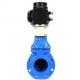 Standard Specification Gate Valve Drain Valve Customized for Your Industry Standards