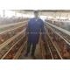 Type A Galvanized Automatic 96 Poultry Chicken Cages For Layers