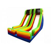 Durable Double Lane Big Blow Up Water Slides With Protect Net On Top