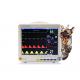 220V 40W Multi Parameter Veterinary Monitor ECG Vet Monitoring Equipment