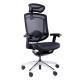 GTCHAIR Marrit X Lumbar Support Ergonomic Chair High Back Mesh Office Chair