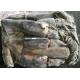 frozen giant squid  1-2kg dosidicus gigas BQF good freshness Peru giant squid frozen squid rings