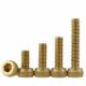 M2.5 Brass Socket Head Screws Allen Head Machine Screws 5-30mm Length