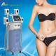 Fat freezing body shaping cryolipolysis slimming machine for clinic use