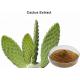 Weight Loss Prickly Pear Cactus Extract Powder , Leaf And Stem Herbal Extraction Plant