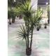 Evergreen Leaf Artificial Bonsai Plants For Hotel Decoration