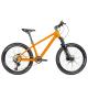 24er Kids Sports Bike Full Carbon Childrens Mountain Bike Shimano Group Set