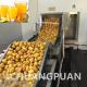 10000KG Concentrated Mango Pulp Processing Line For Smooth Pulping Performance