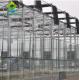 Commercial Tempered Glass Venlo Type Greenhouse Multispan For Agricultural