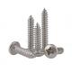 Slotted Cross Recessed Hardened Stainless Steel Screws , Triangle Thread Ss 304 Fasteners