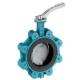 Diaphragm Structure Hydraulic CF8 Di Ci EPDM PTFE Strong Acid Lever Lug Butterfly Valve