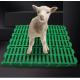 Sheep Farm Pure PP Plastic Slatted Floor Washable Easy To Install