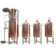 Customized Capacity GHO Fermentation Tank for Beer Processing Fermenting Equipment