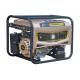 400V Engine Speed 3600r/Min Petrol Generator Set Electric Start Portable Generator