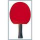 4 Star Table Tennis Bats 5 Layers Linden Plywood With Red / Black Reverse Rubber